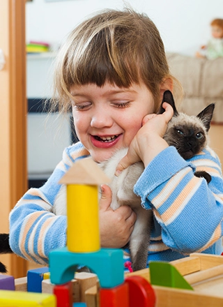 untitled 2 untitled 2